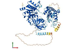 Protein Structure (PS) image for SUMO1 Activating Enzyme Subunit 2 (UBA2) (AA 1-640) protein (His tag) (ABIN7545885)