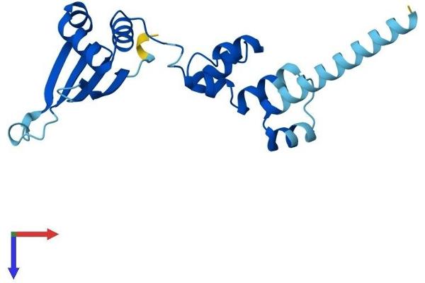 FBXO36 Protein (AA 1-188) (His tag)