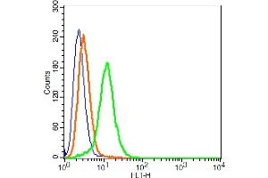 Flow Cytometry (FACS) image for anti-Calcium Channel, Voltage-Dependent, T Type, alpha 1G Subunit (CACNA1G) (AA 901-1000) antibody (AbBy Fluor® 488) (ABIN886092)
