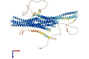 EVC Protein (AA 1-1005) (His tag)