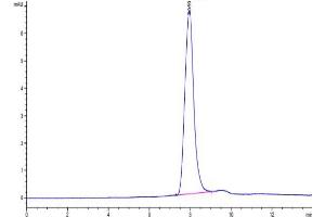 The purity of Mouse LYPD3 is greater than 95 % as determined by SEC-HPLC.