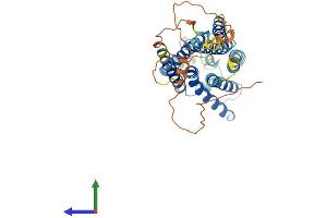 Protein Structure (PS) image for G Protein-Coupled Receptor 143 (GPR143) (AA 1-405) protein (His tag) (ABIN7556680)