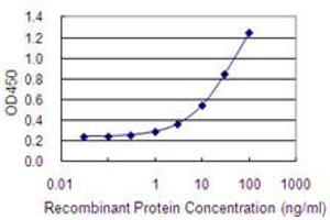 Detection limit for recombinant GST tagged LOXL4 is 0. (LOXL4 Antikörper  (AA 657-755))