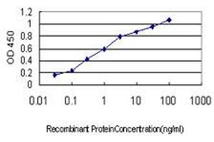 Detection limit for recombinant GST tagged APOA2 is approximately 0. (APOA2 Antikörper  (AA 1-100))