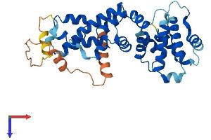 FBXO8 Protein (AA 1-319) (His tag)
