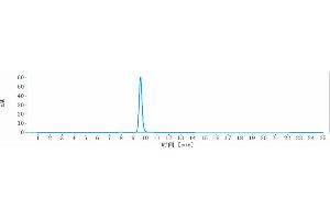 The purity of Anti- Human CLDN6( IMAB027)is 98.