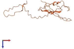 AlphaFold protein structure predicition of Human Recombinant KRTAP2-4 Protein, UniprotID Q9BYR9