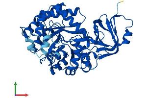 Protein Structure (PS) image for Amidohydrolase Domain Containing 1 (AMDHD1) (AA 1-426) protein (His tag) (ABIN7561268)