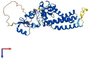 FA2H Protein (AA 1-372) (His tag)