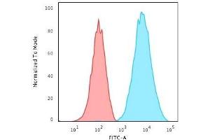 Flow Cytometry (FACS) image for anti-Major Histocompatibility Complex, Class II, DR beta 1 (HLA-DRB1) antibody (ABIN6939640)
