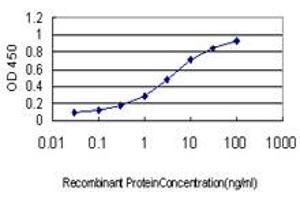 Detection limit for recombinant GST tagged PGR is approximately 0. (Progesterone Receptor Antikörper  (AA 1-110))
