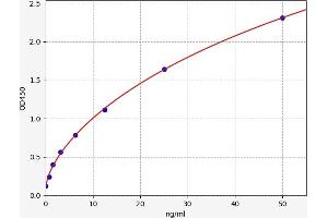 Typical standard curve (MGEA5 ELISA Kit)