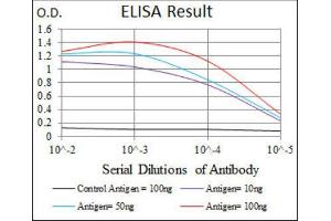 ELISA image for anti-Neurofilament, Heavy Polypeptide (NEFH) (AA 968-1020) antibody (ABIN1844517) (NEFH Antikörper  (AA 968-1020))
