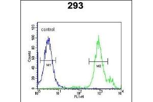 SLC9A9 Antibody (C-term) (ABIN651604 and ABIN2840319) flow cytometric analysis of 293 cells (right histogram) compared to a negative control cell (left histogram). (SLC9A9 Antikörper  (C-Term))