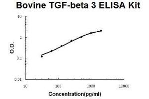 Bovine TGF-beta 3 PicoKine ELISA Kit standard curve (TGFB3 ELISA Kit)