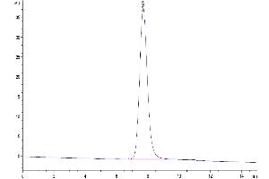Size-exclusion chromatography-High Pressure Liquid Chromatography (SEC-HPLC) image for Leukocyte Immunoglobulin-Like Receptor, Subfamily A (With TM Domain), Member 5 (LILRA5) (AA 42-268) protein (His-Avi Tag) (ABIN7275181)