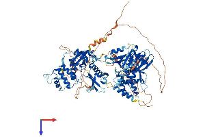 PTPN4 Protein (AA 1-926) (His tag)