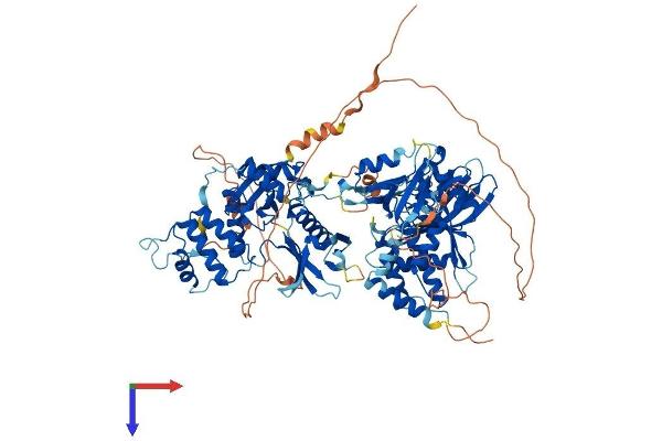 PTPN4 Protein (AA 1-926) (His tag)