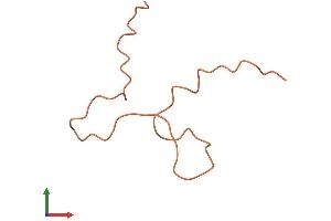 Protein Structure (PS) image for Keratin Associated Protein 8-1 (KRTAP8-1) (AA 1-61) protein (Fc Tag) (ABIN7562182)