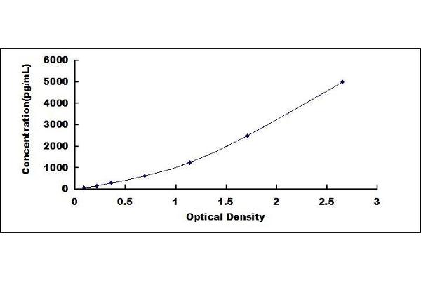 IL2 Receptor beta ELISA Kit