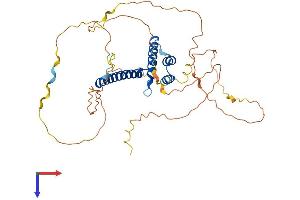 NEUROD2 Protein (AA 1-382) (His tag)