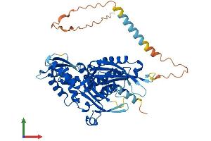 Protein Structure (PS) image for Ectonucleoside Triphosphate diphosphohydrolase 6 (ENTPD6) (AA 1-484) protein (His tag) (ABIN7553795)