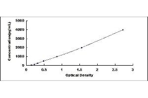 ELISA image for Erythropoietin Receptor (EPOR) ELISA Kit (ABIN431556) (EPOR ELISA Kit)