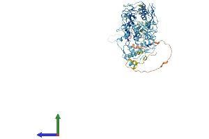 AlphaFold protein structure predicition of Human Recombinant ZNF595 Protein, UniprotID Q8IYB9