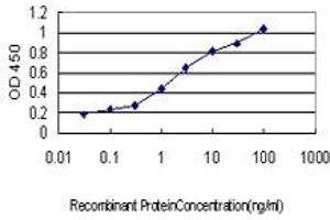 Detection limit for recombinant GST tagged IRF1 is approximately 0. (IRF1 Antikörper  (AA 216-325))