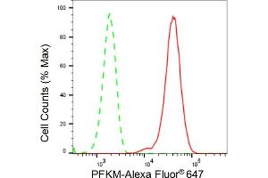 Flow cytometric analysis of PFKM expression in HepG2 cells using PFKM antibody (ABIN7799801), 1:2,000). (Rekombinanter PFKM Antikörper)