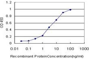 Detection limit for recombinant GST tagged BOLL is approximately 0. (BOLL Antikörper  (AA 185-283))