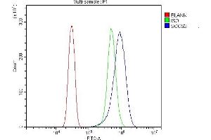 Flow Cytometry analysis of SiHa cells using anti-SOCS3 antibody (ABIN7599926). (SOCS3 Antikörper  (AA 13-225))