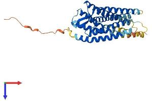 BDKRB1 Protein (AA 1-334) (His tag)