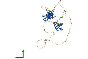 Protein Structure (PS) image for LIM Homeobox 1 (LHX1) (AA 1-406) protein (His tag) (ABIN7549042)