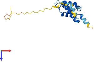 Sntn Protein (AA 1-147) (His tag)