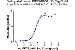 CD3E & CD3G (AA 23-126) protein (Fc-Avi Tag,Biotin)