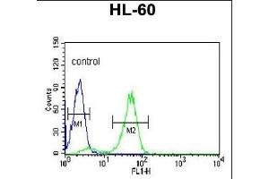 Flow Cytometry (FACS) image for anti-Polymerase (DNA Directed), gamma 2, Accessory Subunit (POLG2) (AA 348-376), (C-Term) antibody (ABIN1882118)