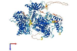 AQR Protein (AA 1-1485) (His tag)