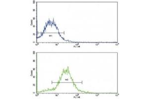 Flow Cytometry (FACS) image for anti-Bone Morphogenetic Protein Receptor, Type II (serine/threonine Kinase) (BMPR2) (AA 28-59) antibody (ABIN3030192)