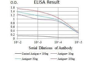 Black line: Control Antigen (100 ng), Purple line: Antigen(10 ng), Blue line: Antigen (50 ng), Red line: Antigen (100 ng), (TP53BP1 Antikörper  (AA 574-773))