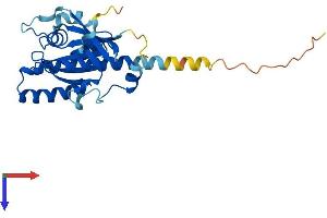 RAB34 Protein (AA 1-259) (His tag)
