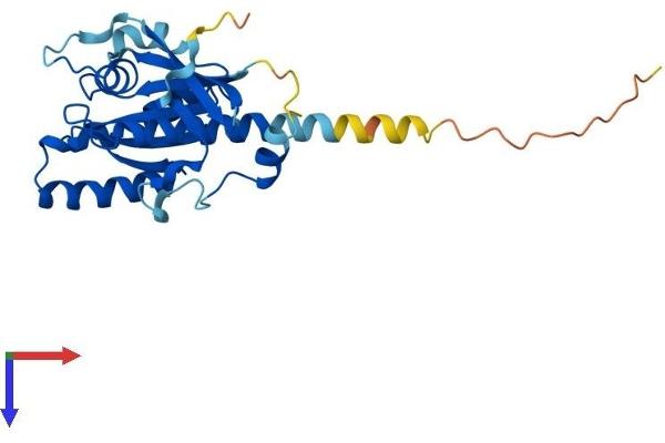 RAB34 Protein (AA 1-259) (His tag)
