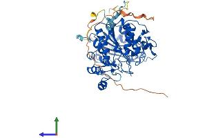 Protein Structure (PS) image for Histone Deacetylase 1 (HDAC1) (AA 1-482) protein (His tag) (ABIN7562248)