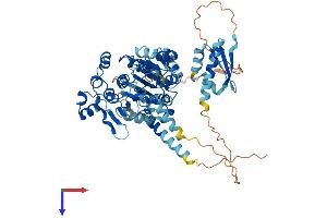AlphaFold protein structure predicition of Human Recombinant DDX53 Protein, UniprotID Q86TM3