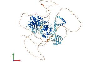Protein Structure (PS) image for DEAD (Asp-Glu-Ala-Asp) Box Polypeptide 21 (DDX21) (AA 1-851) protein (His tag) (ABIN7565089)