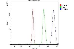 Flow Cytometry analysis of HepG2 cells using anti-PPAR alpha/PPARA antibody (ABIN7599384). (PPARA Antikörper  (AA 1-426))