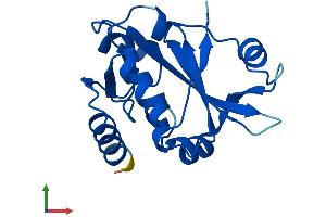 AlphaFold protein structure predicition of Human Recombinant PRORSD1P Protein, UniprotID A6NEY8