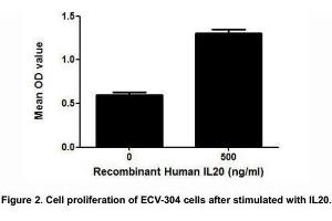 Image no. 2 for Interleukin 20 (IL20) (AA 25-176) (Active) protein (His tag) (ABIN6239769)