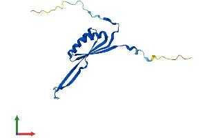 Protein Structure (PS) image for Mitochondrial Ribosomal Protein S10 (MRPS10) (AA 1-160) protein (His tag) (ABIN7558458)