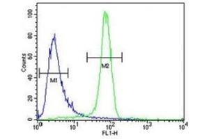 Anti-EGFR antibody flow cytometric analysis of K562 cells (right histogram) compared to a negative control cell (left histogram).